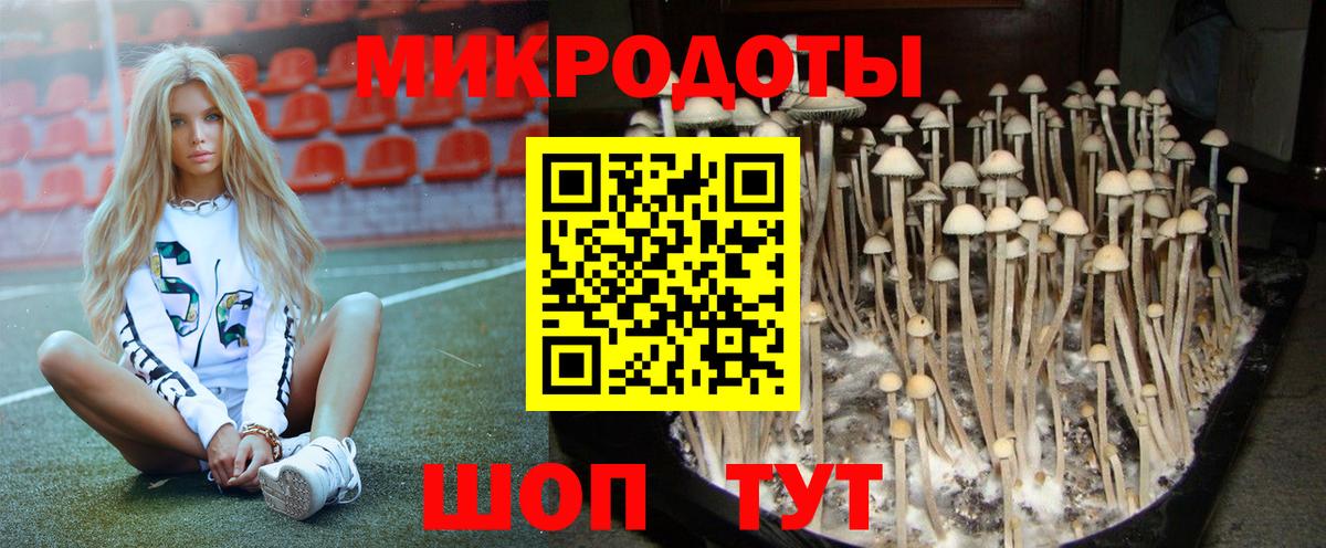 Наро-Фоминск  Псилоцибиновые грибы мухоморы  Вход с VPN  Псилоцибиновые грибы Magic Shrooms 