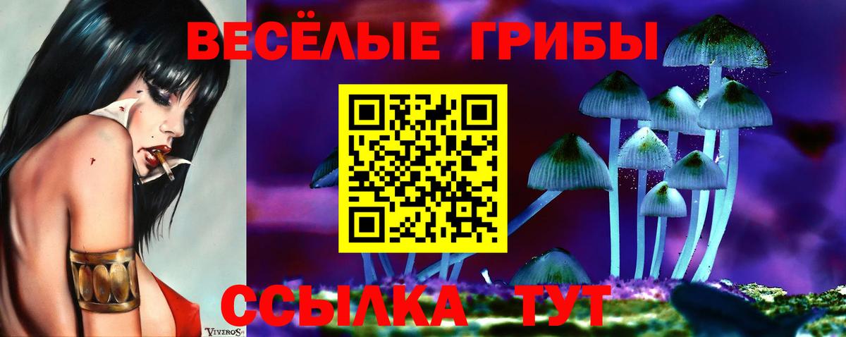 Галлюциногенные грибы Psilocybine cubensis Наро-Фоминск